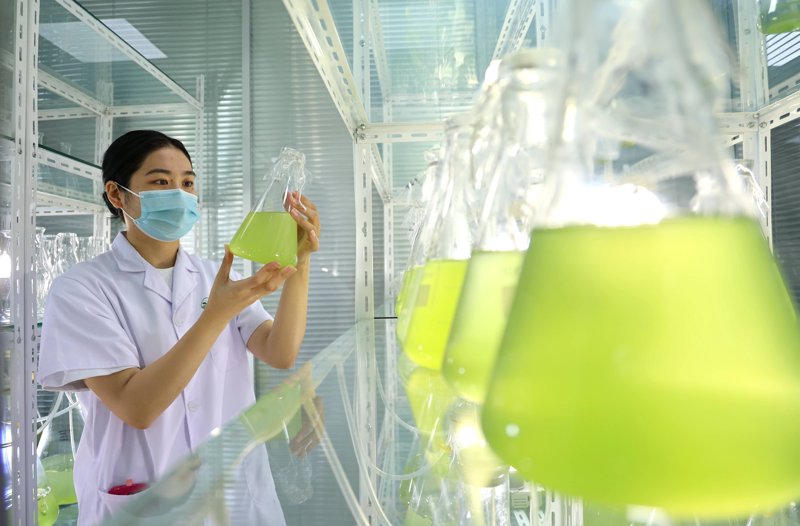生物技术公司的未来趋势解读